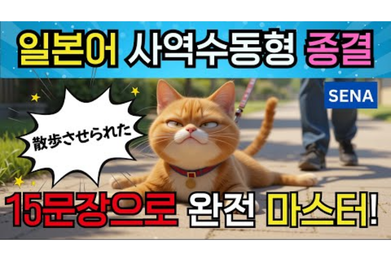 세나티비 일본어 중급회화 마스터